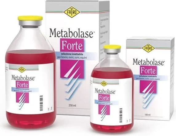 METABOLASE FORTE
