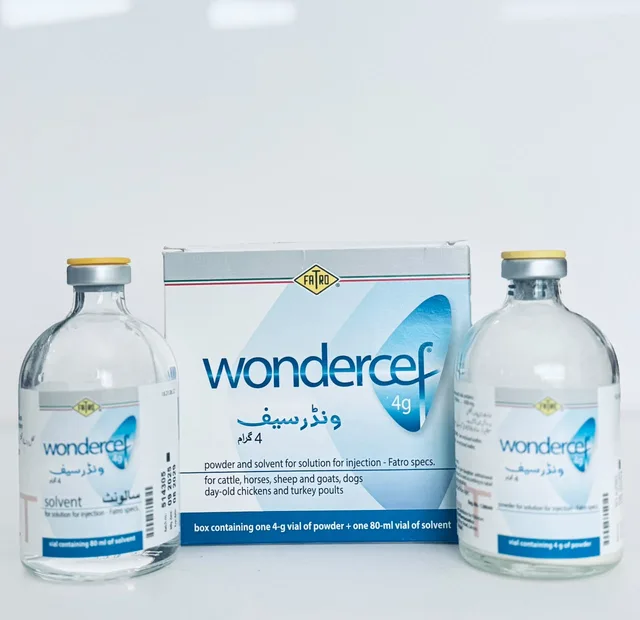 Wondercef 4g (Wonderceff)